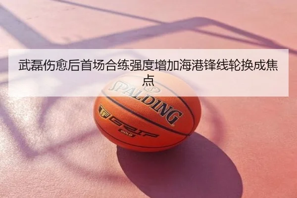 武磊伤愈后首场合练强度增加海港锋线轮换成焦点