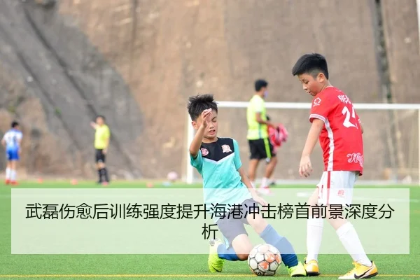 武磊伤愈后训练强度提升海港冲击榜首前景深度分析