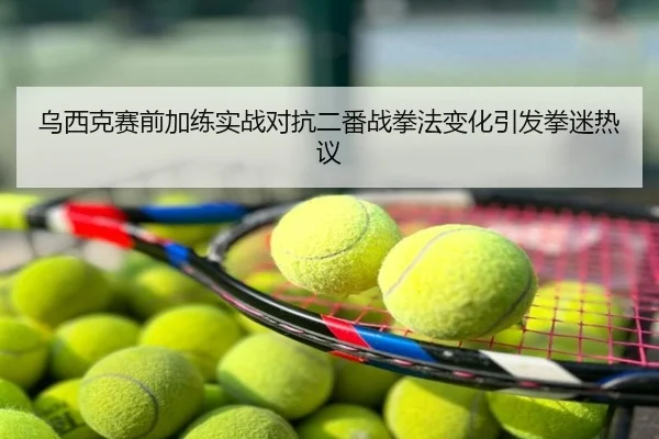 乌西克赛前加练实战对抗二番战拳法变化引发拳迷热议